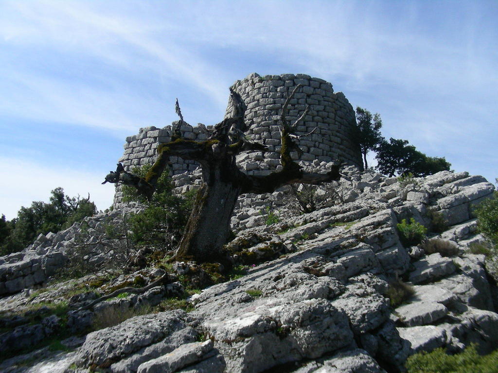 Agriturismo Didone Dorgali Exterior foto